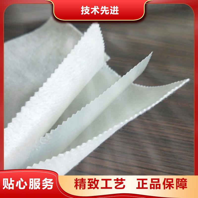 土工布【聚乙烯醇纤维】专业生产团队