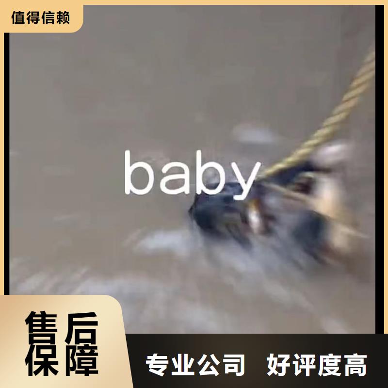 山东水下打捞切割-水下清理工程承接