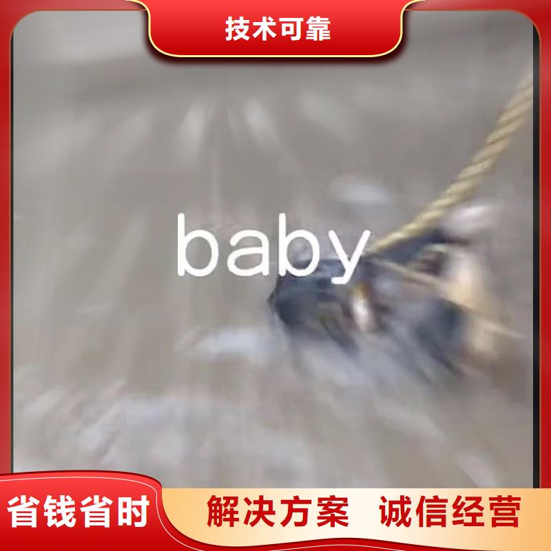 污水池换曝气头-视频-皇姑|苏家屯|鞍山|葫芦岛|阜新|抚顺|辽阳|铁岭|盘锦污水池换曝气头免费咨询-打捞钻头封堵气囊水下切割(沈阳市分公司)