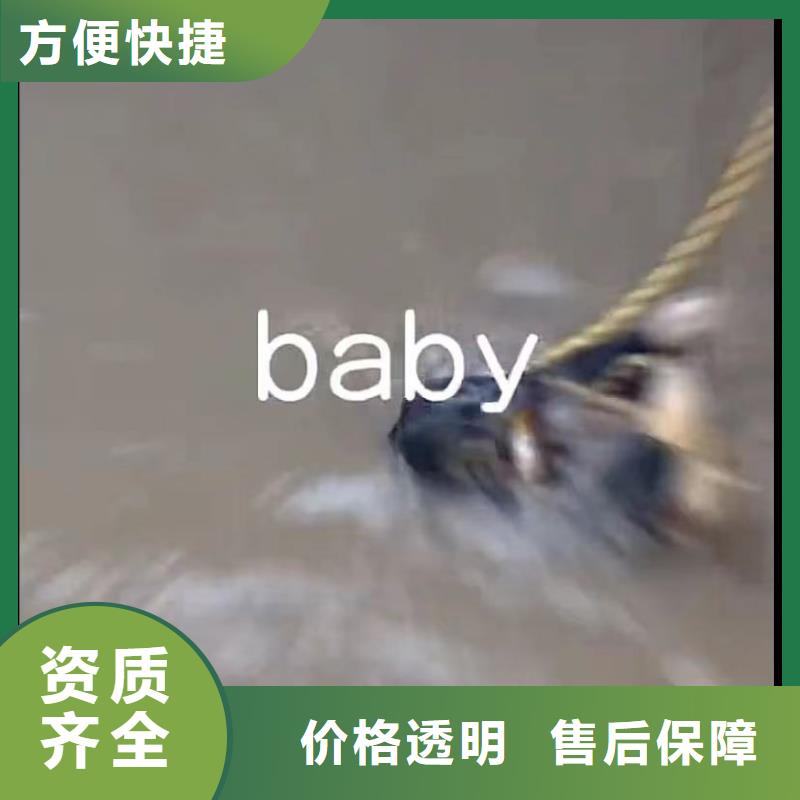 污水池换曝气头视频-污水池换曝气头_河南省漯河市市场覆盖召陵|舞阳|鹤壁|南阳|洛阳|焦作|周口等