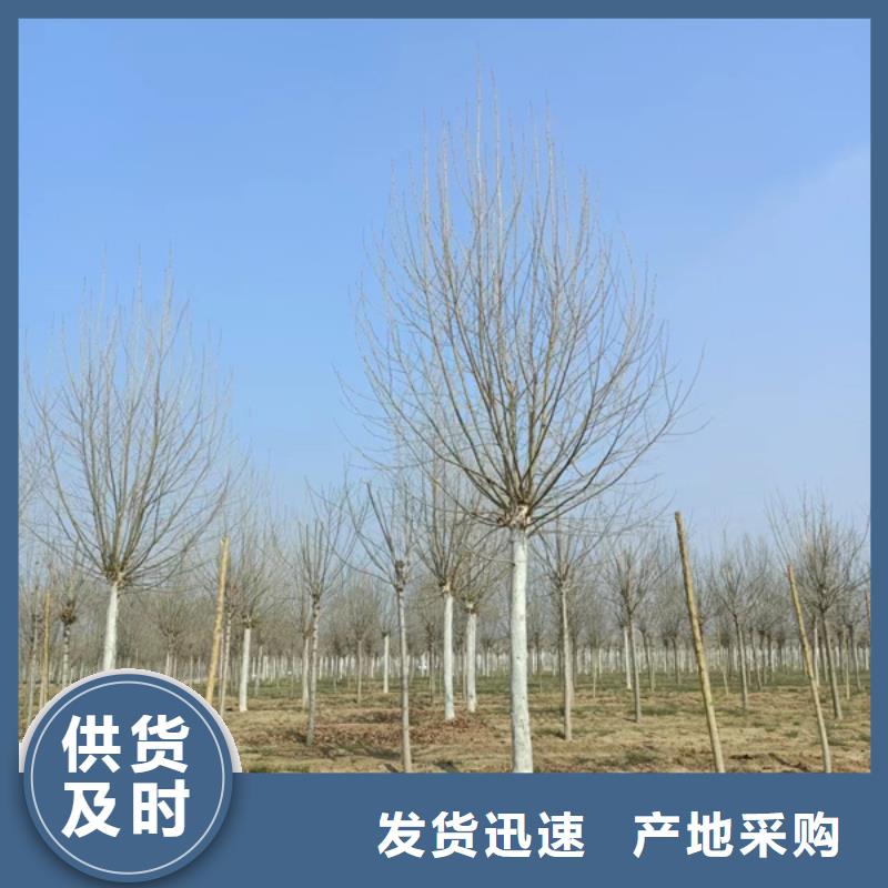  法桐拥有多家成功案例