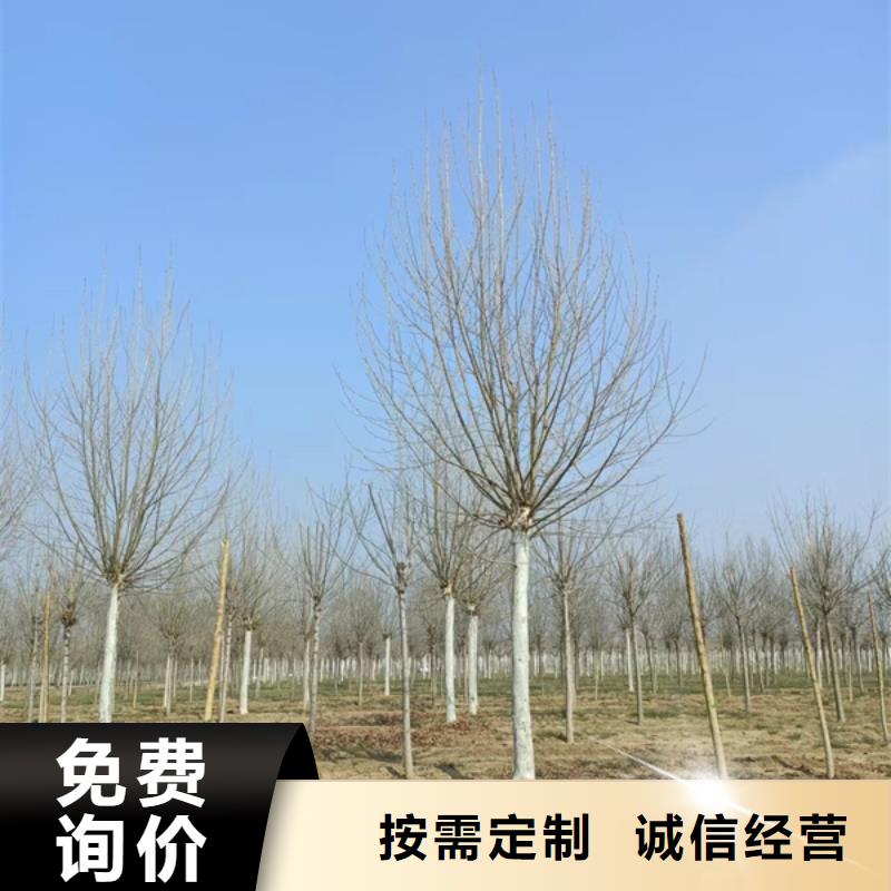  法桐极速发货