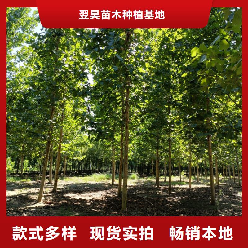  法桐极速发货