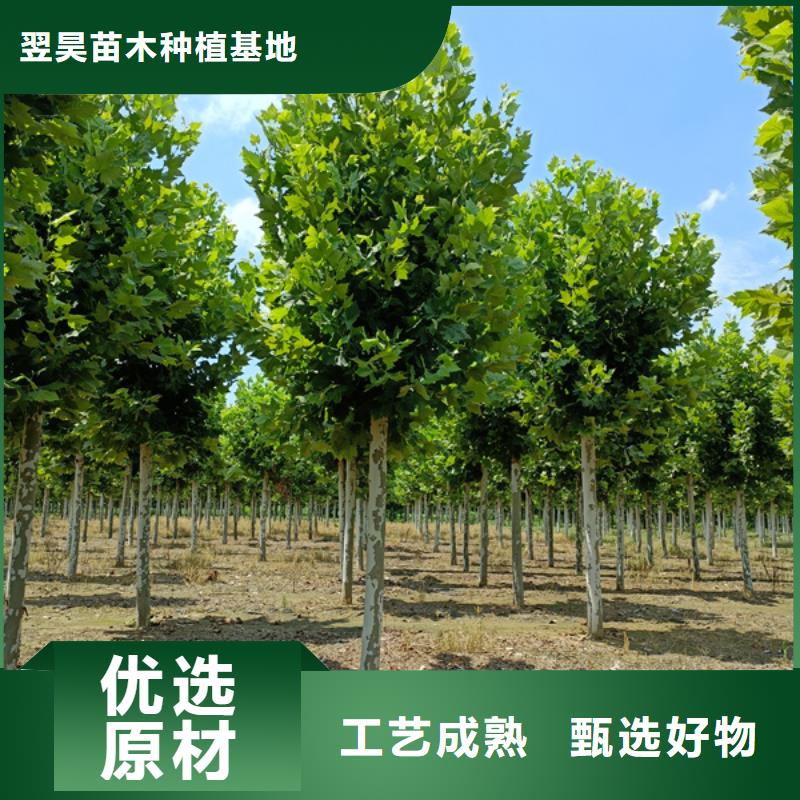 法桐支持货到付清