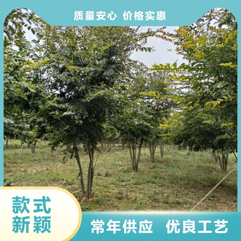 法桐白蜡优质原料