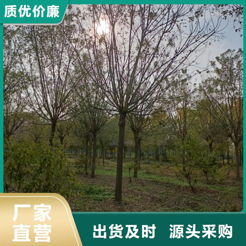 法桐企业-质量过硬