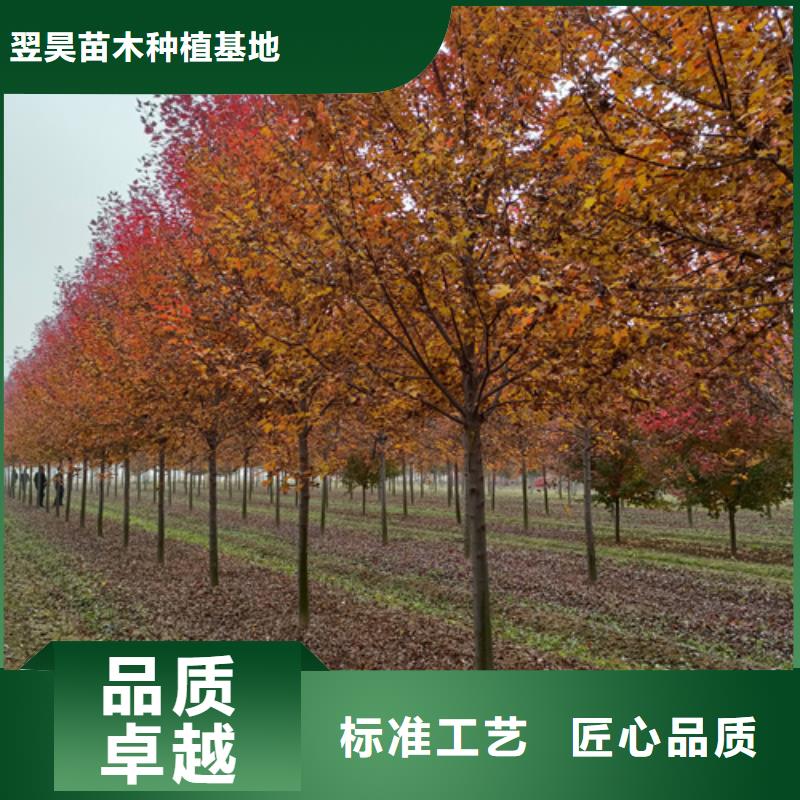 发货速度快的法桐供货商