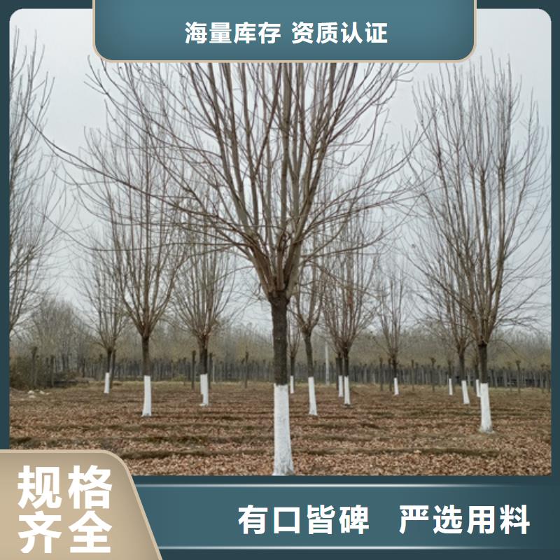法桐企业-质量过硬