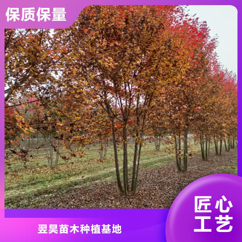 法桐企业-质量过硬