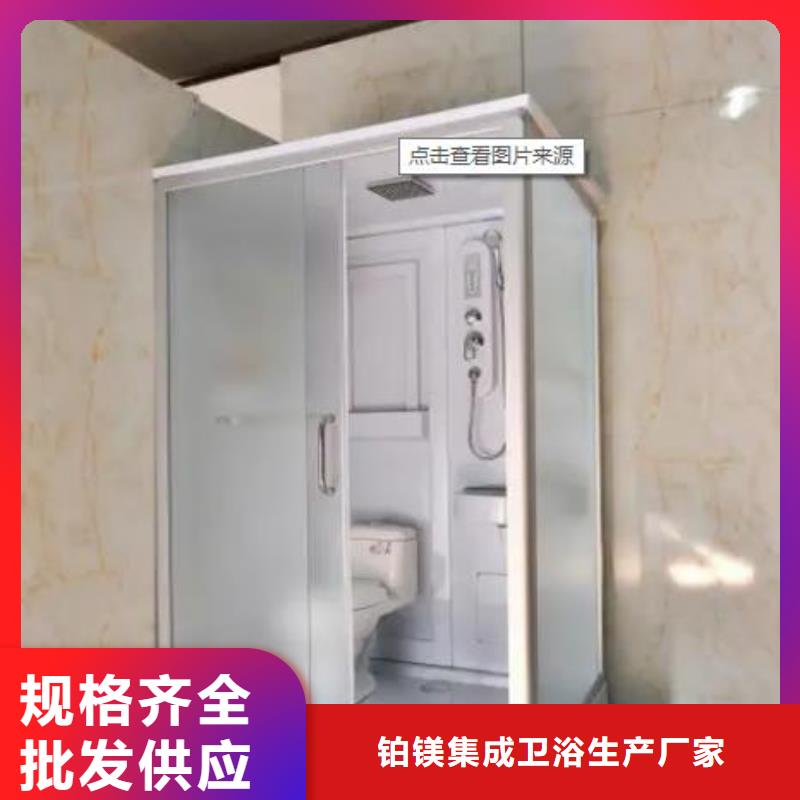 整体式卫浴