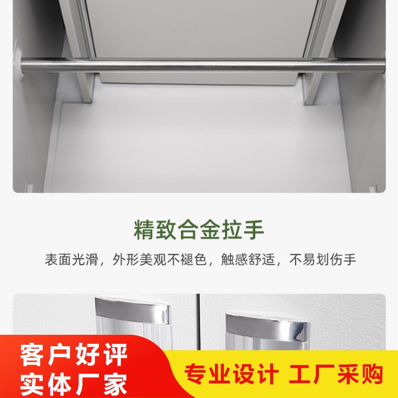 更衣柜移动档案密集架  您身边的厂家