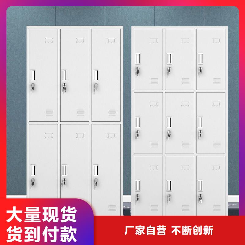 更衣柜移动档案密集架  您身边的厂家