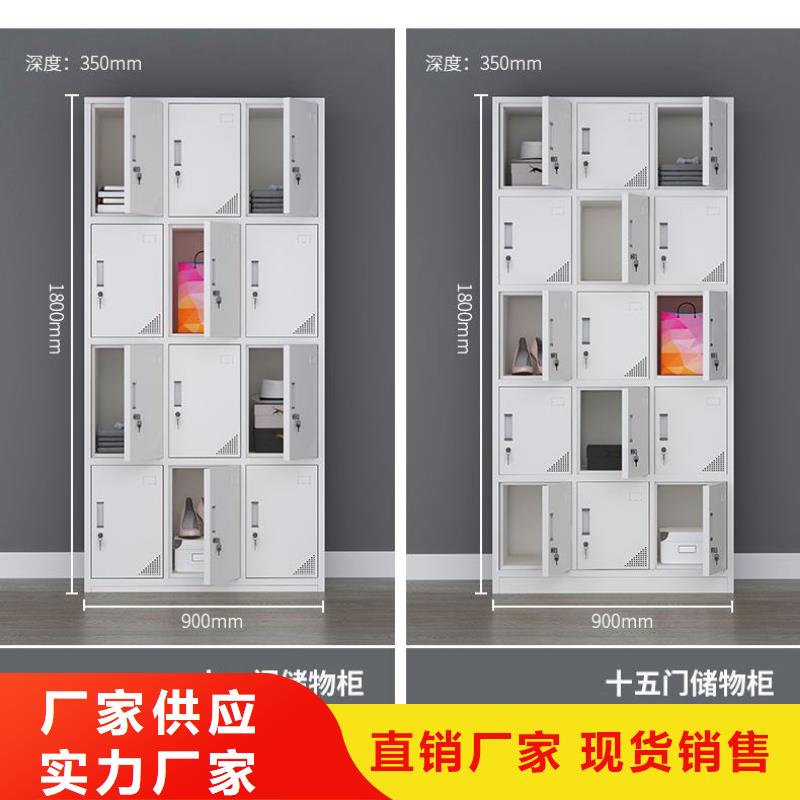 更衣柜移动档案密集架  您身边的厂家