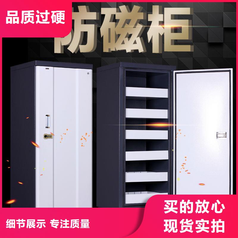 防磁柜会计凭证柜现货满足大量采购