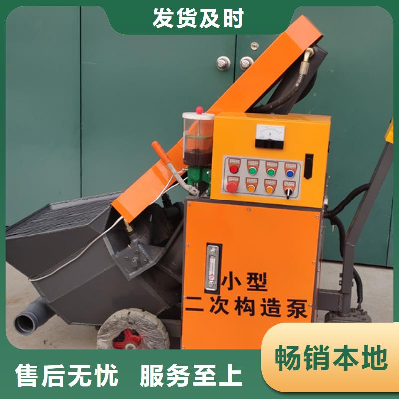 微型二次构造柱泵全国发货