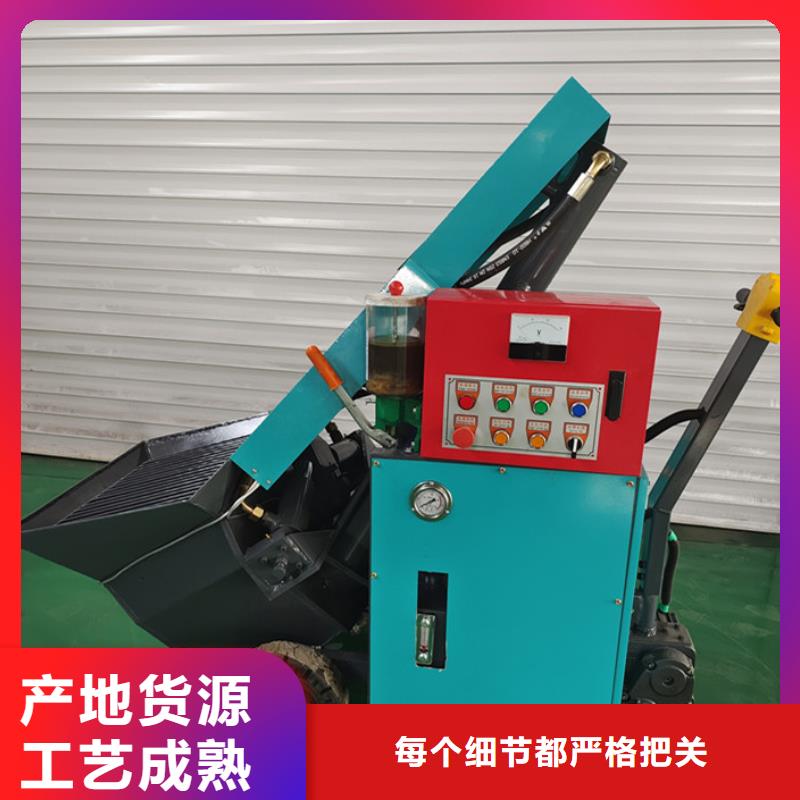 微型二次构造柱泵全国发货