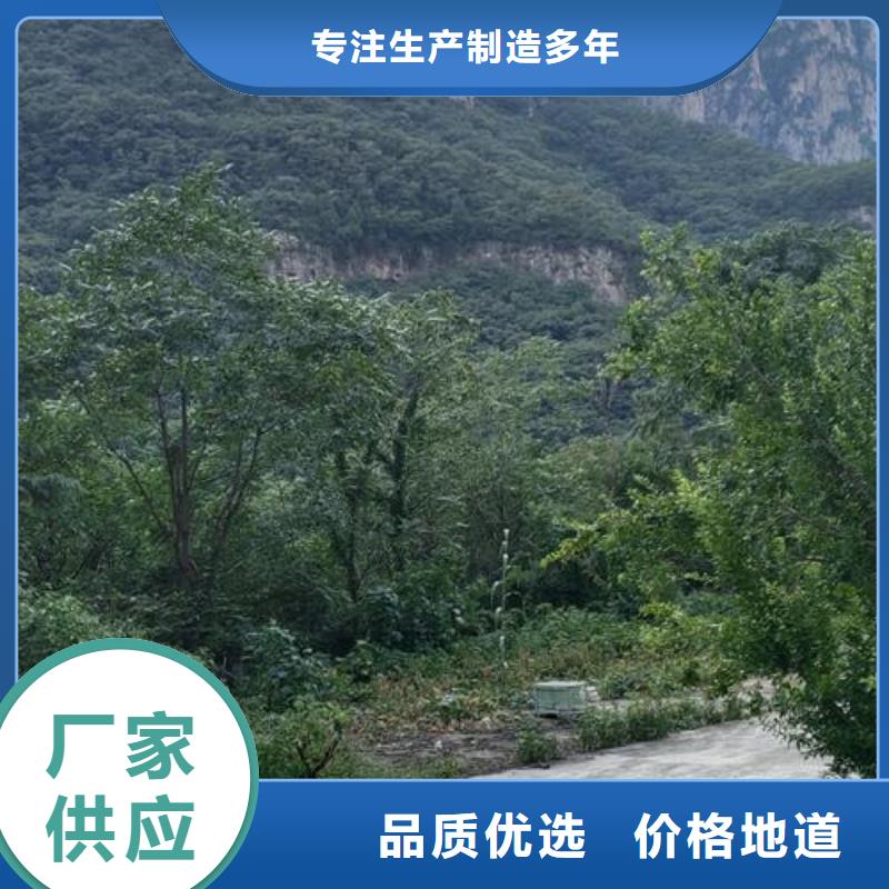 二次构造柱泵细石砂浆混凝土输送泵实力优品