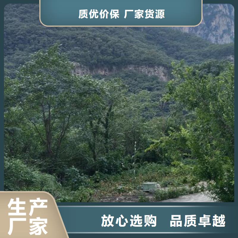 二次构造柱泵_【细石混凝土输送泵】价格低