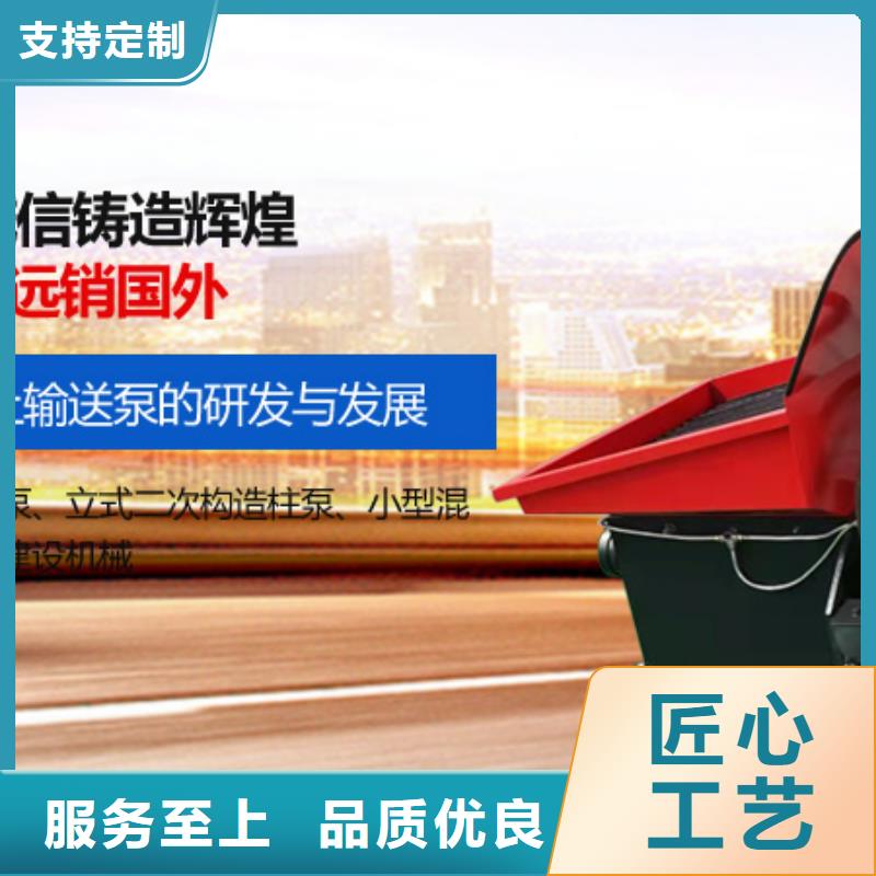 二次构造柱泵,小型二次构造柱泵精挑细选好货