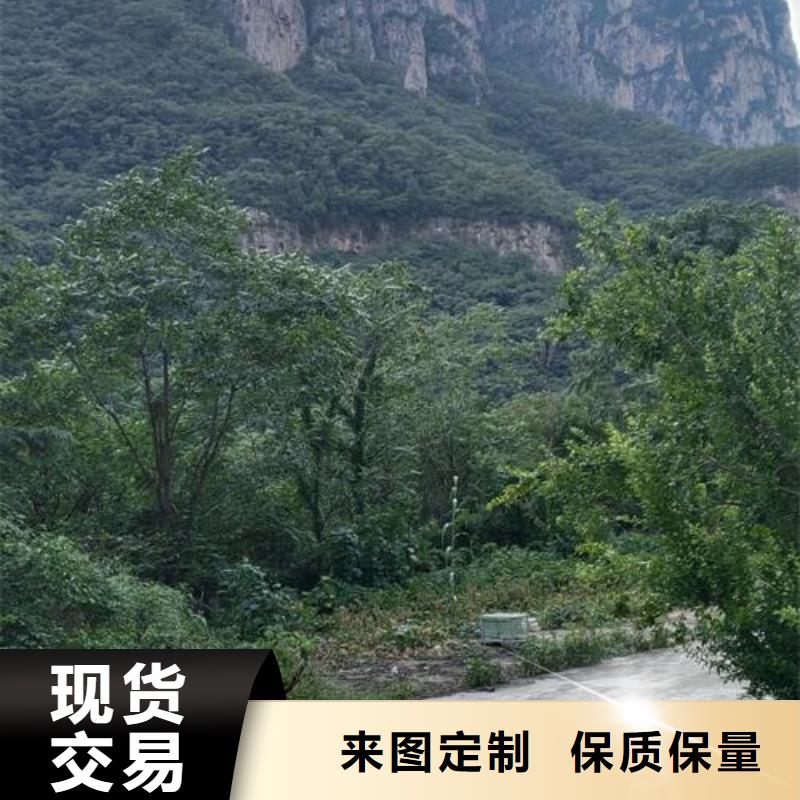 小型混凝土泵混凝土输送泵快速发货