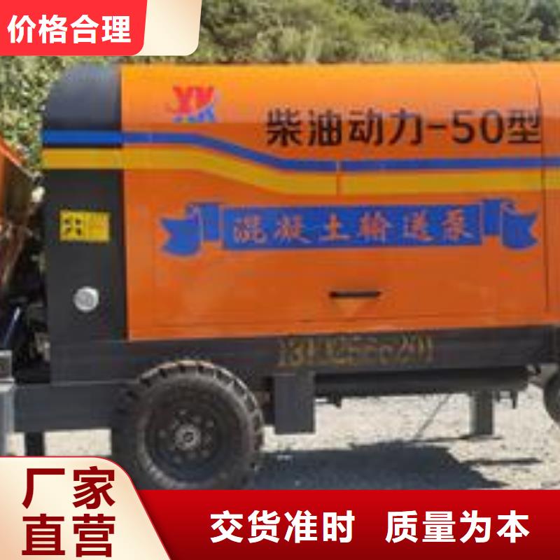 小型混凝土泵护坡浇筑泵畅销当地
