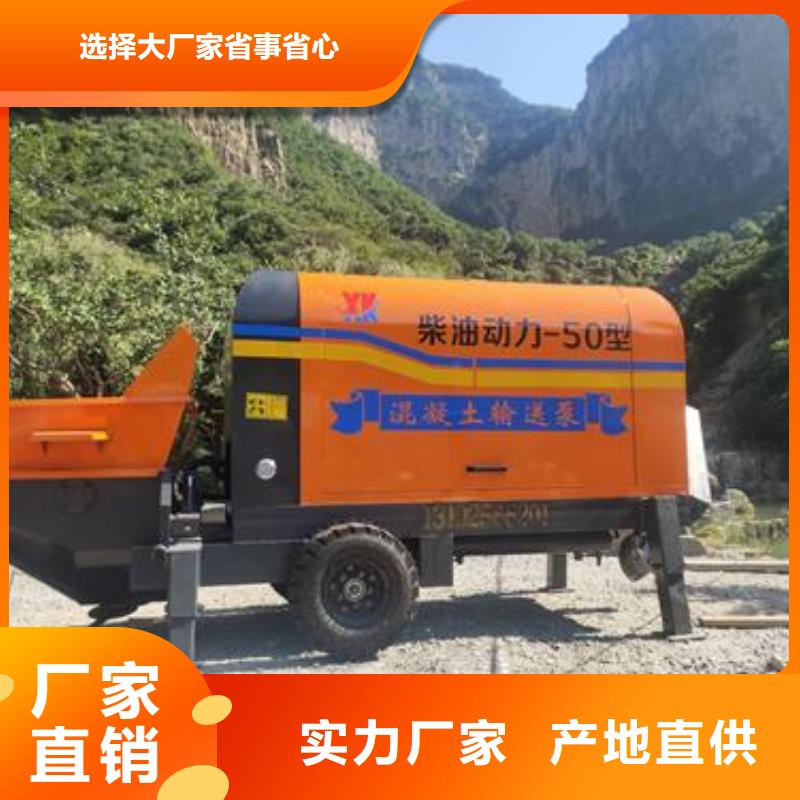 小型混凝土泵护坡浇筑泵畅销当地