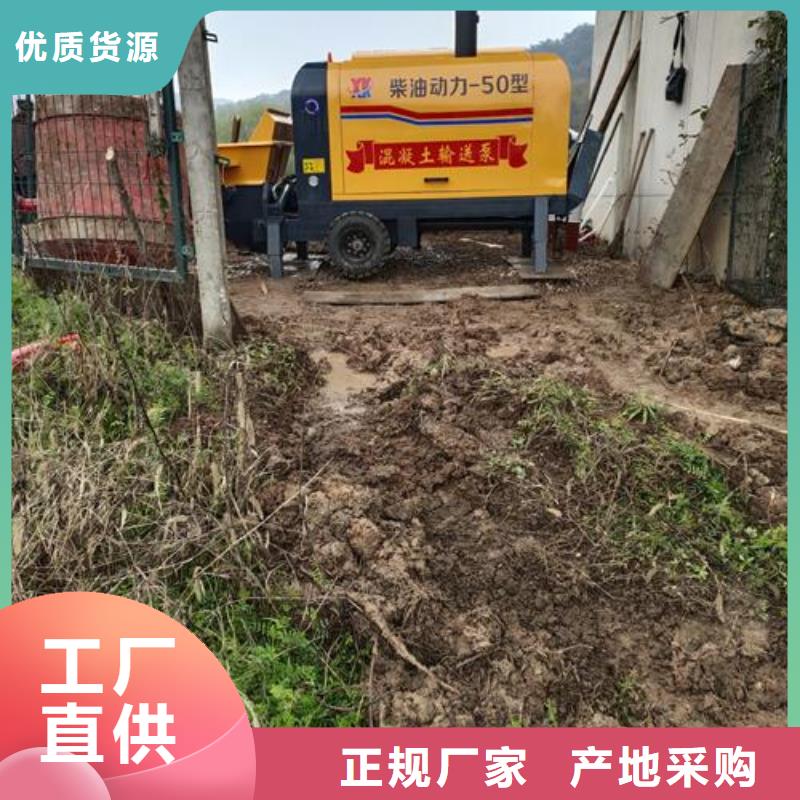 小型混凝土泵-构造柱浇筑泵出厂严格质检