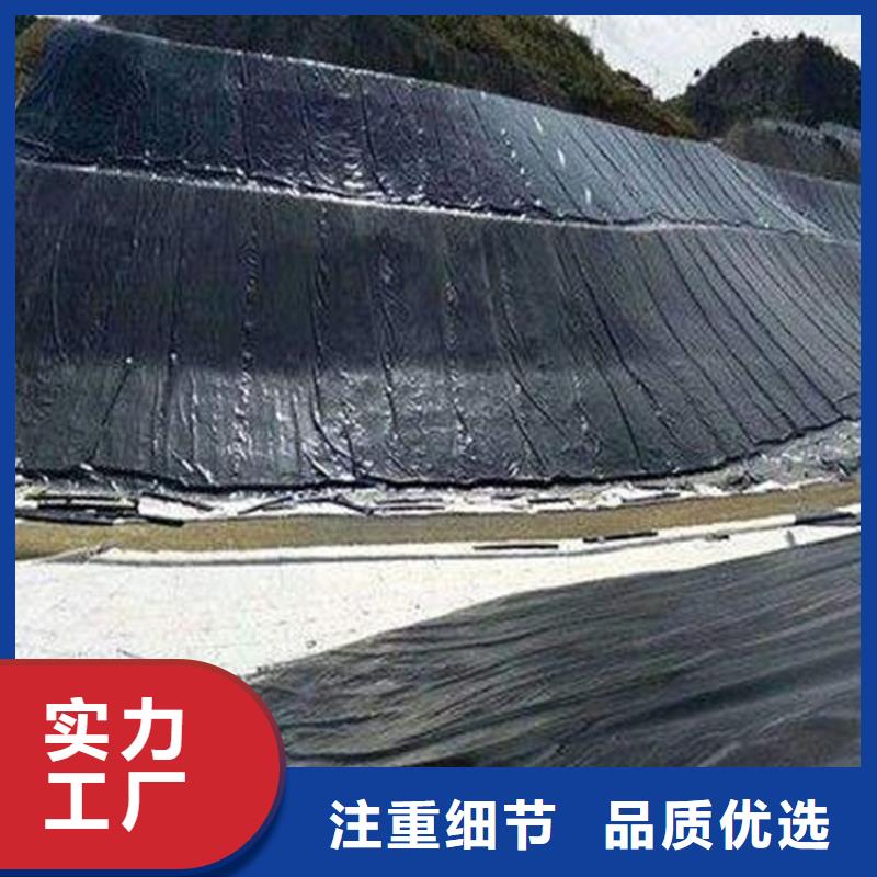 土工膜膨润土防水毯老客户钟爱