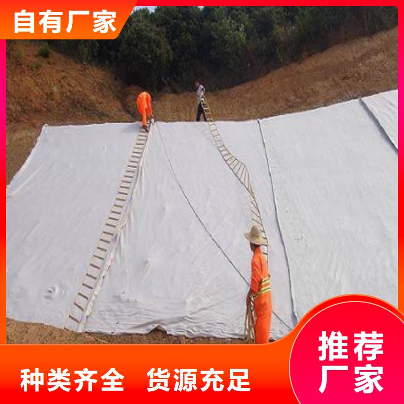 塑料盲沟视频-塑料盲沟-河北省承德市兴隆|平泉|张家口|秦皇岛|唐山|沧州|保定|廊坊|石家庄(附近)品牌