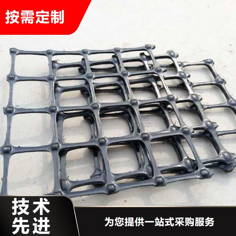 双向土工格栅