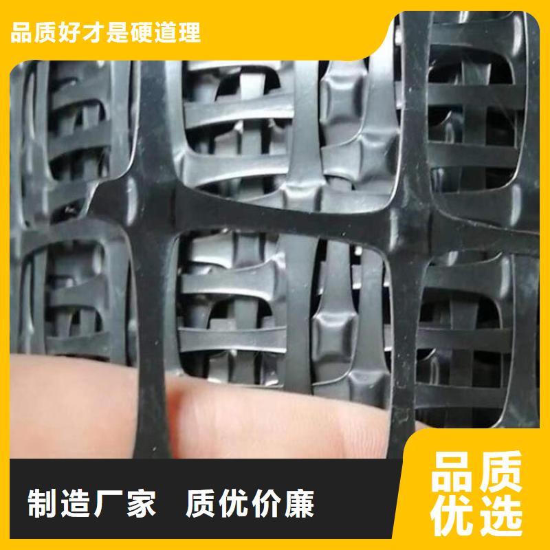 土工格栅HDPE土工膜源头厂家来图定制