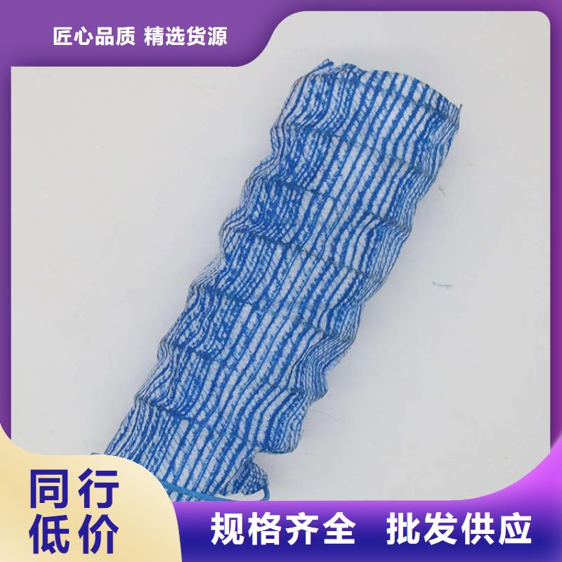 软式透水管-涤纶格栅专业完善售后