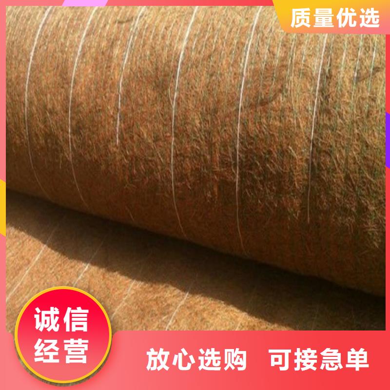 加筋抗冲生物毯资讯动态