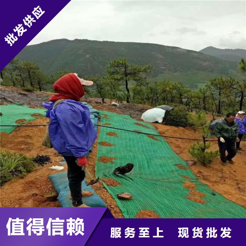 椰丝毯,土工膜客户好评