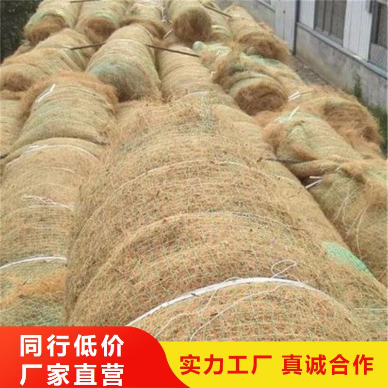 植生椰丝毯-绿化毯
