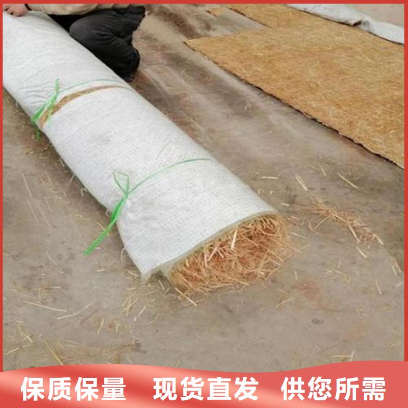 护坡草毯抗冲毯