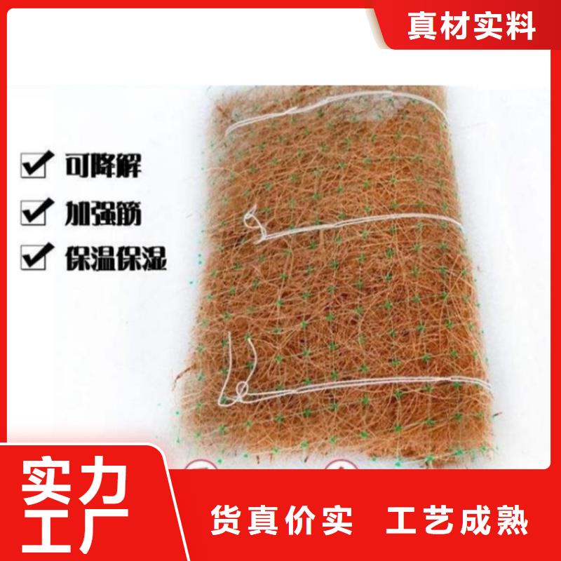 加筋抗冲生物毯资讯动态