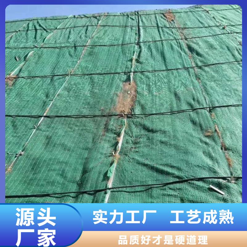 塑料盲沟-视频-塑料盲沟-鼎诺土工材料(克拉玛依市分公司)服务区域乌鲁木齐|伊犁