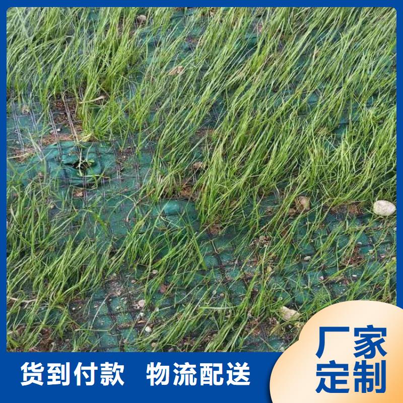 塑料盲沟-视频-塑料盲沟|四川省绵阳市|涪城|梓潼|雅安|巴中|德阳|广安