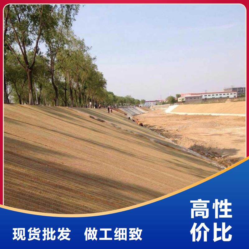 加筋抗冲生物毯资讯动态