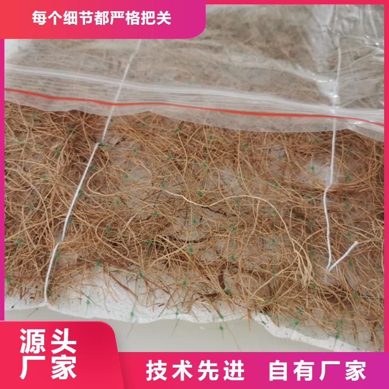 加筋抗冲生物毯资讯动态