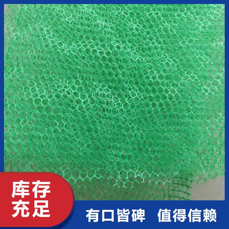三维植被网土工材料常年供应