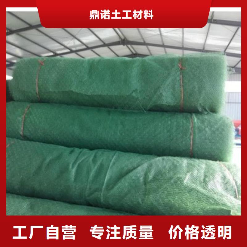 三维植被网土工材料常年供应