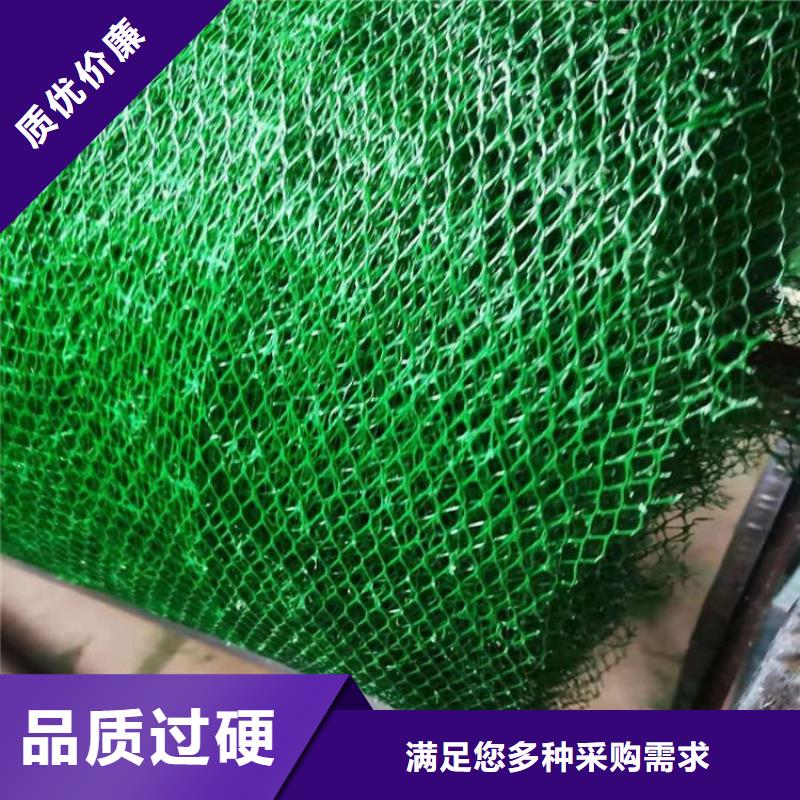 三维植被网土工材料常年供应