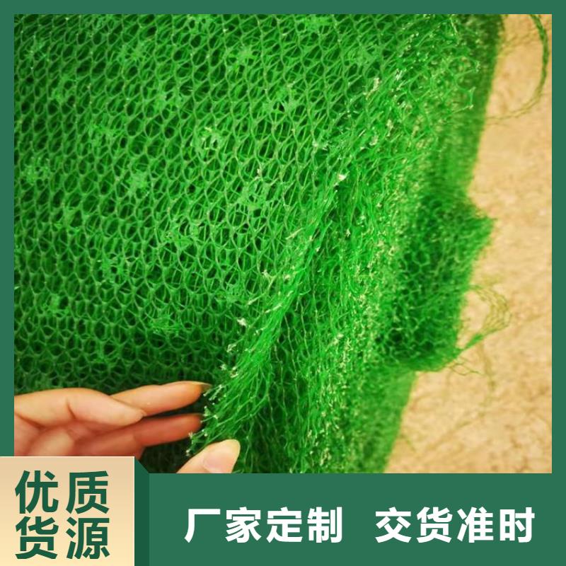 三维土工网垫-EM4三维固土网垫