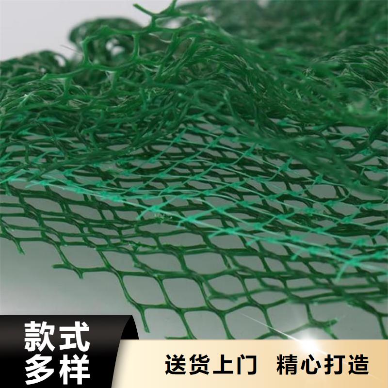 三维植被网土工布行业优选