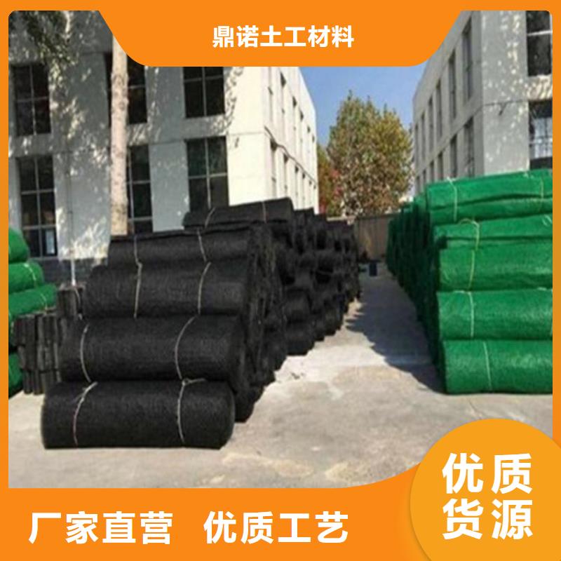 三维土工网垫-EM4三维固土网垫