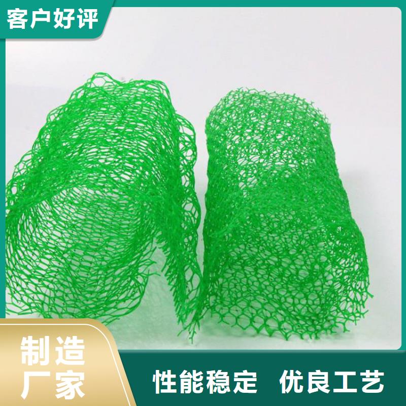 三维土工网垫-EM4三维固土网垫