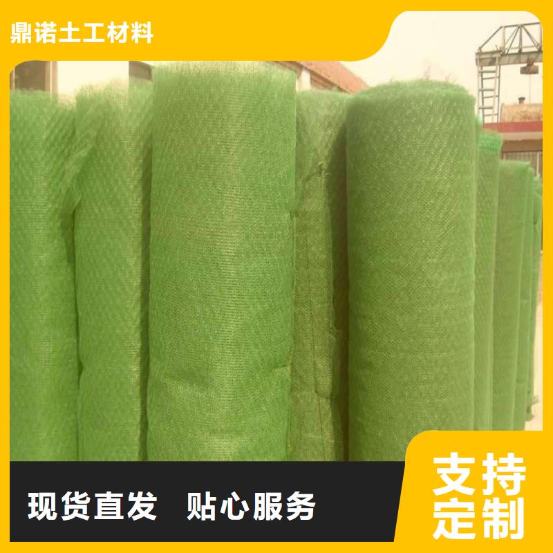 三维土工网垫-EM4三维固土网垫
