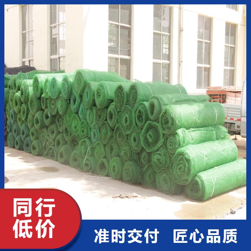 三维土工网垫-EM4三维固土网垫